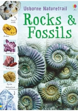 Rocks&Fossils