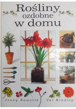 Rośliny ozdobne w domu