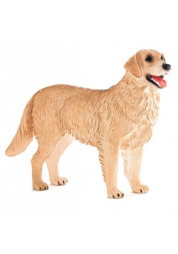 Pies rasy Golden Retriver ANIMAL PLANET