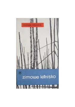 Zimowe letnisko