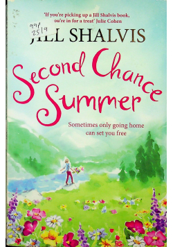 Second Chance Summer