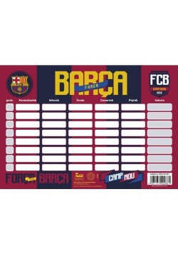 Plan lekcji FC-202 FCB (25szt) ASTRA