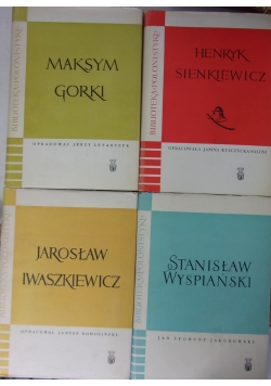 Biblioteka polonistyki - zestaw 4 książek