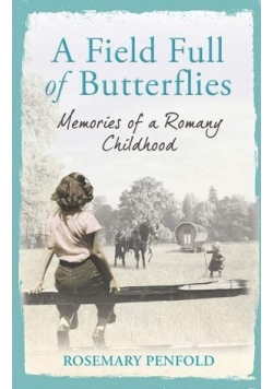 A Field Full of Butterflies