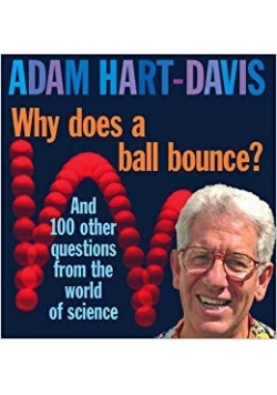 Why does a ball bounce