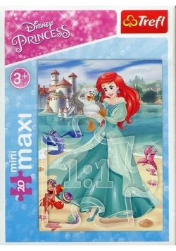 Puzzle miniMaxi W świecie księżniczek 20, nowe