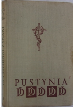 Pustynia
