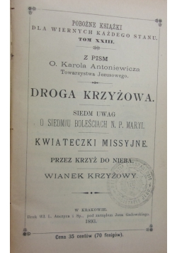 Droga krzyżowa, 1893 r.