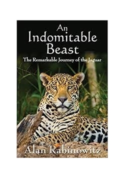 An Indomitable Best the Remarkable Journey of the Jaguar