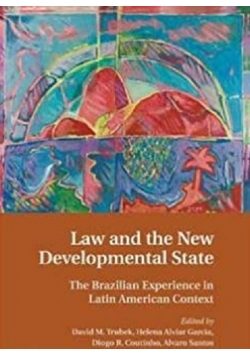 Law and the New Developmental State