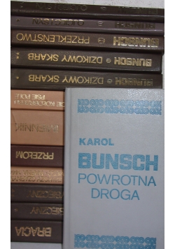 Powieści piastowskie, zestaw 13 książek