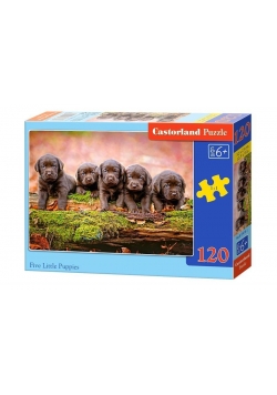 Puzzle 120 Five Little Puppies CASTOR