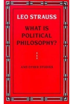 What is political philosophy ?
