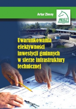 Uwarunkowania efektywności inwestycji gminnych w sferze infrastruktury technicznej