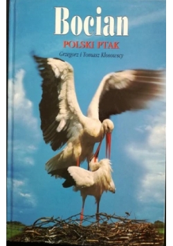 Bocian polski ptak