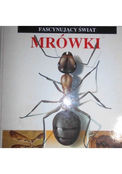 Fascynujący Świat  Mrówki