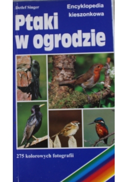Ptaki w ogrodzie Encyklopedia kieszonkowa