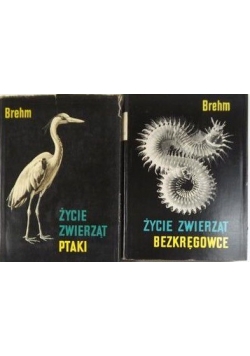 Życie zwierząt bezkręgowce i Ptaki