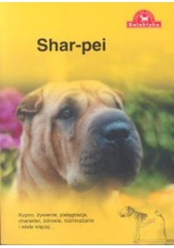 Pies na medal. Shar Pei