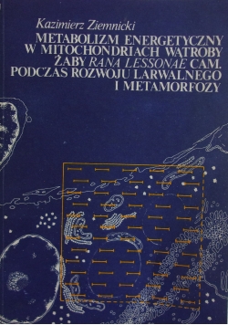 Metabolizm energetyczny w mitochondriach wątroby