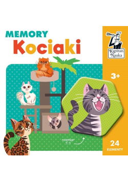 Kociaki. Memory. Kapitan Nauka