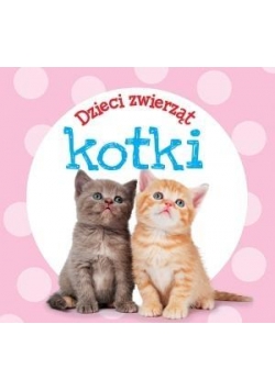 Dzieci zwierząt - kotki