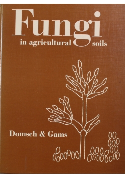 Fungi in agricultural soils