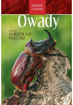 Owady