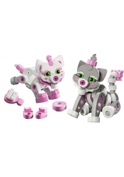 Cat and Kitten