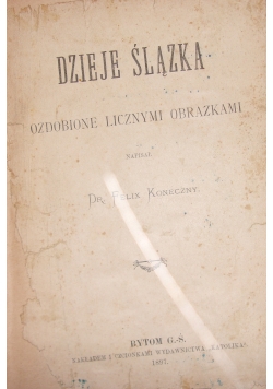 Dzieje Ślązka, 1897 r.