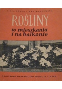 Rośliny w mieszkaniu i na balkonie
