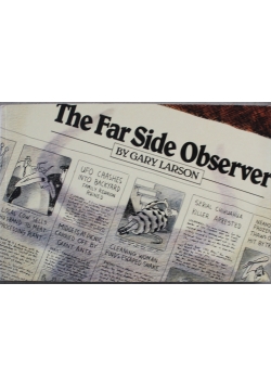 Far Side Observer