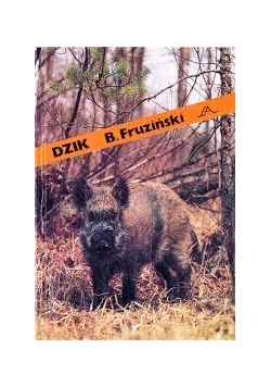 Dzik