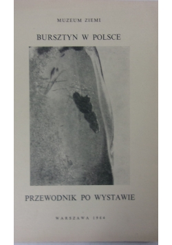 Bursztyn w Polsce