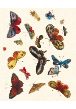Karnet 17x14cm z kopertą Butterfly design decoration