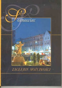Sosnowiec. Zagłębie możliwości