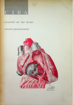 Anatomy of the heart  angiocardiography