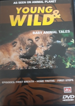 Young & wild baby animal tales CD