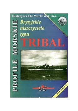 Brytyjskie niszczyciele typu Tribal
