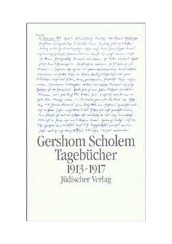 Tagebucher 1913-1917