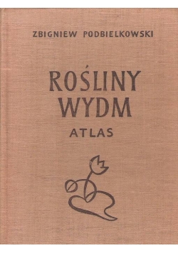 Rośliny Wydm