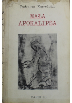 Mała apokalipsa