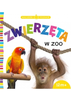 Maluszek poznaje Zwierzęta w zoo