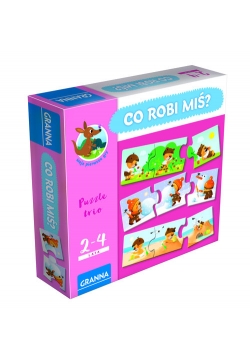 Co robi miś?