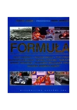 Formuła 1 Wielcy kierowcy czołowe zespoły