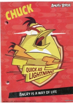 Wkład do segregatora A6 Angry Birds