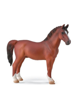 Hackney Stallion Chestnut