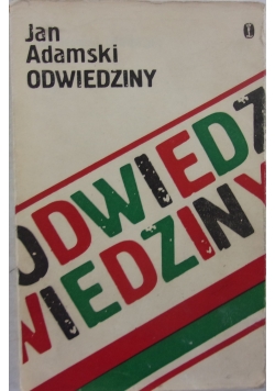 Odwiedziny