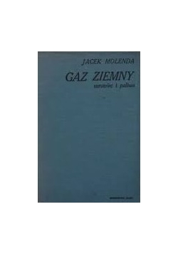 Gaz ziemny surowiec i paliwo