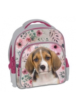 Plecak szkolny Dog 18-337PS PASO